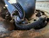 Picture of (Used) 2005 Sterling ACTERRA, DIFFERENTIAL HUBS
