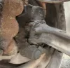 Picture of (Used) 2005 Sterling ACTERRA, FRONT SPINDLE/KNUCKLE