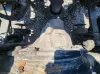 Picture of (Used) 2019 Freightliner Cascadia 126, REAR DIFFERENTIAL HOUSING ONLY