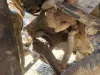 Picture of (Used) 2020 International HV607, STEERING BOX