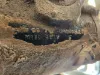 Picture of (Used) 2020 International HV607, STEERING BOX