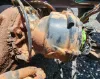 Picture of (Used) 2019 Freightliner Cascadia 126, FRONT DIFFERENTIAL GEARS ONLY