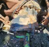 Picture of (Used) 2019 Freightliner Cascadia 126, FRONT DIFFERENTIAL GEARS ONLY