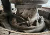 Picture of (Used) 2018 Freightliner M2 106, REAR DIFFERENTIAL HUBS