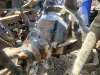 Picture of (Used) 2019 Peterbilt 389, REAR DIFFERENTIAL GEARS ONLY