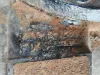 Picture of (Used) 2019 Peterbilt 389, REAR DIFFERENTIAL HOUSING ONLY