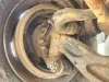 Picture of (Used) 2019 Peterbilt 389, FRONT SPINDLE/KNUCKLE