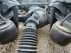 Picture of 2020 Peterbilt 389 Complete Axle-Front Rear
