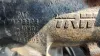 Picture of (Used) 2010 IC Corporation PB105, STEERING BOX
