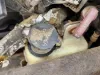 Picture of (Used) 2003 International 4200, WINDSHIELD WASHER BOTTLE