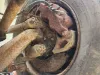 Picture of (Used) 2003 International 4200, FRONT SPINDLE/KNUCKLE