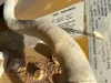 Picture of (Used) 2006 Caterpillar C7, ENGINE ASSEMBLY
