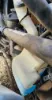 Picture of (Used) 2009 International 4400, WASHER BOTTLE