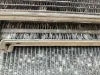 Picture of (Used) 2021 Freightliner M2 106, INTERCOOLER