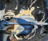 Picture of (Used) 2023 Freightliner Cascadia 126, REAR DIFFERENTIAL GEARS ONLY