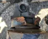 Picture of (Used) 2023 Freightliner Cascadia 126, REAR DIFFERENTIAL GEARS ONLY