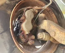 Picture of (Used) 2000 Ford F-650, FRONT SPINDLE/KNUCKLE