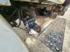 Picture of (Used) 2003 International 4200, BATTERY BOX