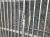 Picture of (Used) 2016 International 9900I, HOOD ASSEMBLY