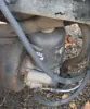 Picture of (Used) 2013 Freightliner Cascadia 113, AIR DRYER
