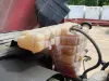 Picture of (Used) 2022 International LT625, RADIATOR OVERFLOW BOTTLE/COOLANT RESERVOIR