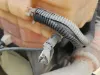 Picture of (Used) 2022 International LT625, RADIATOR OVERFLOW BOTTLE/COOLANT RESERVOIR
