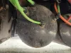 Picture of (Used) 2022 International LT625, AIR TANK