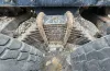 Picture of (Used) 2005 Mack CV713 Granite, REAR LEAF SPRINGS